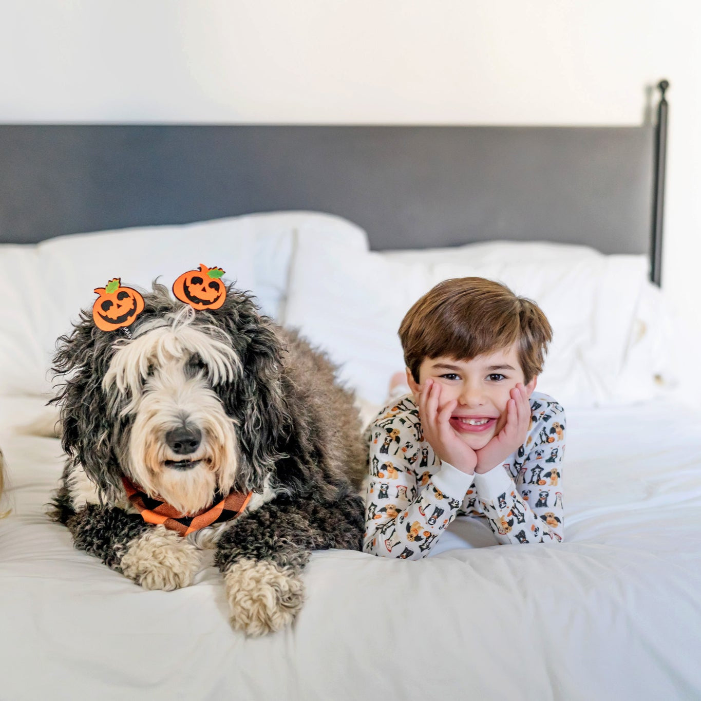 Grayson Pajama Pant Set - Halloween Pups