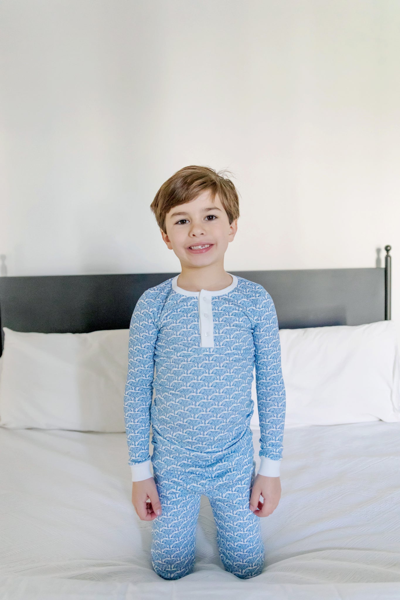 Jack Boys' Pajama Pant Set - African Elephants Blue