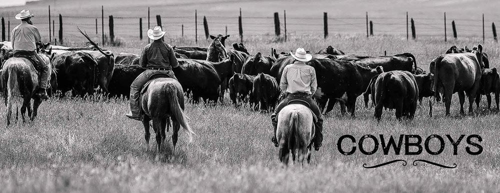 Buy Cowboys and Rodeos Hardcover Book kids clothing online