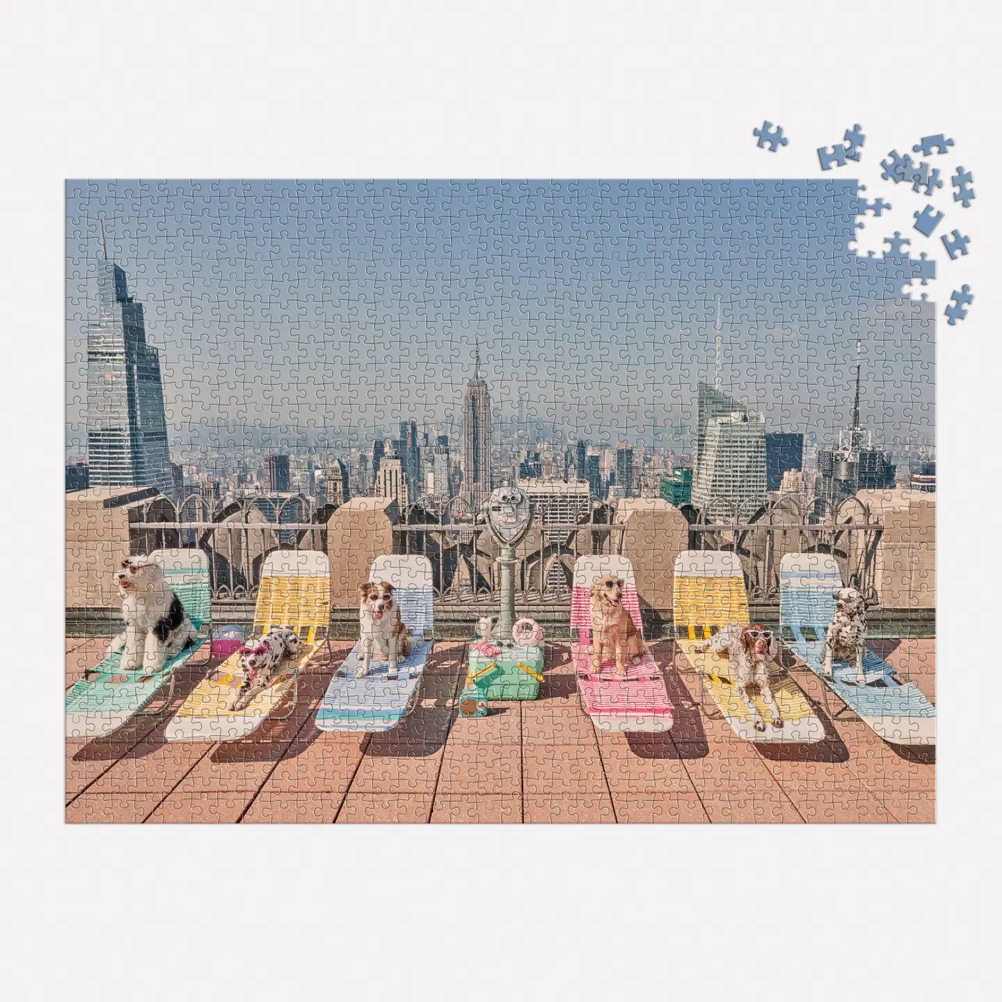 Buy Gray Malin the Dogs of New York City 1000 Piece Puzzle kids clothing online