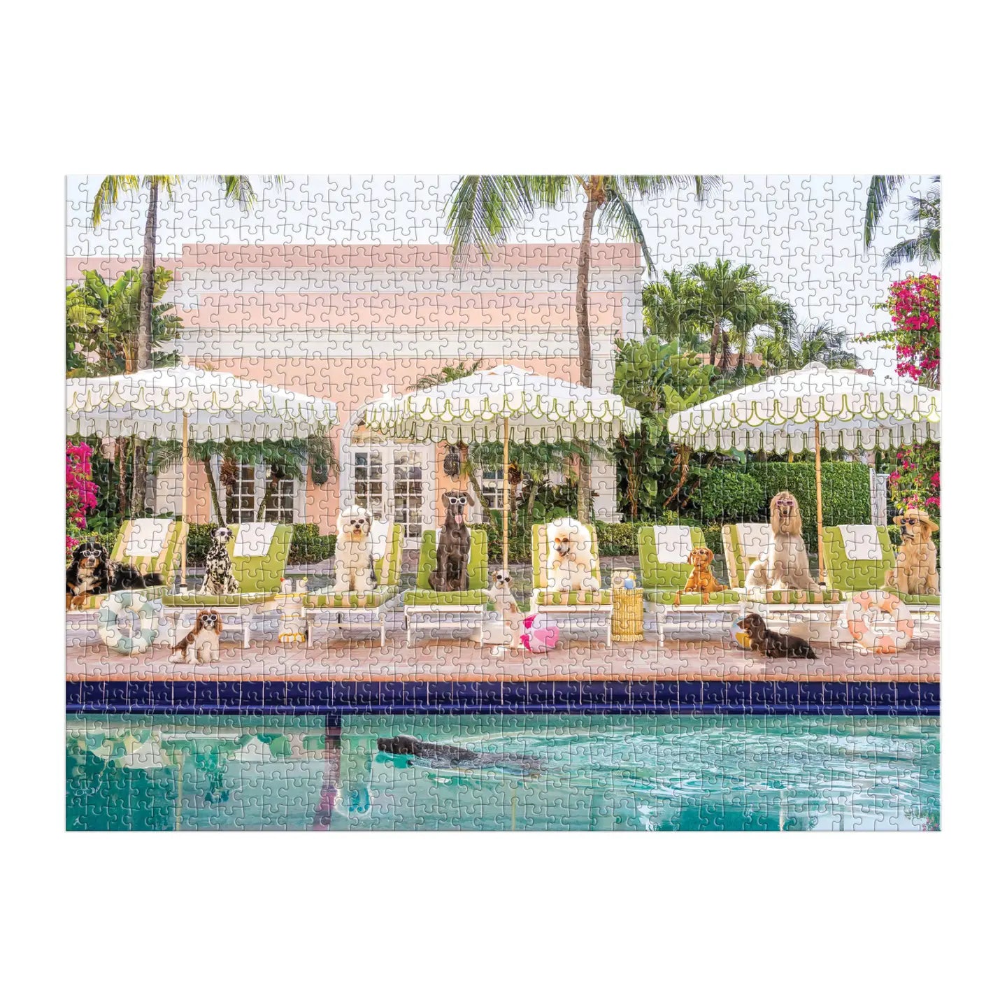 Buy Gray Malin Palm Beach 1000 Piece Book Box Puzzle kids clothing online