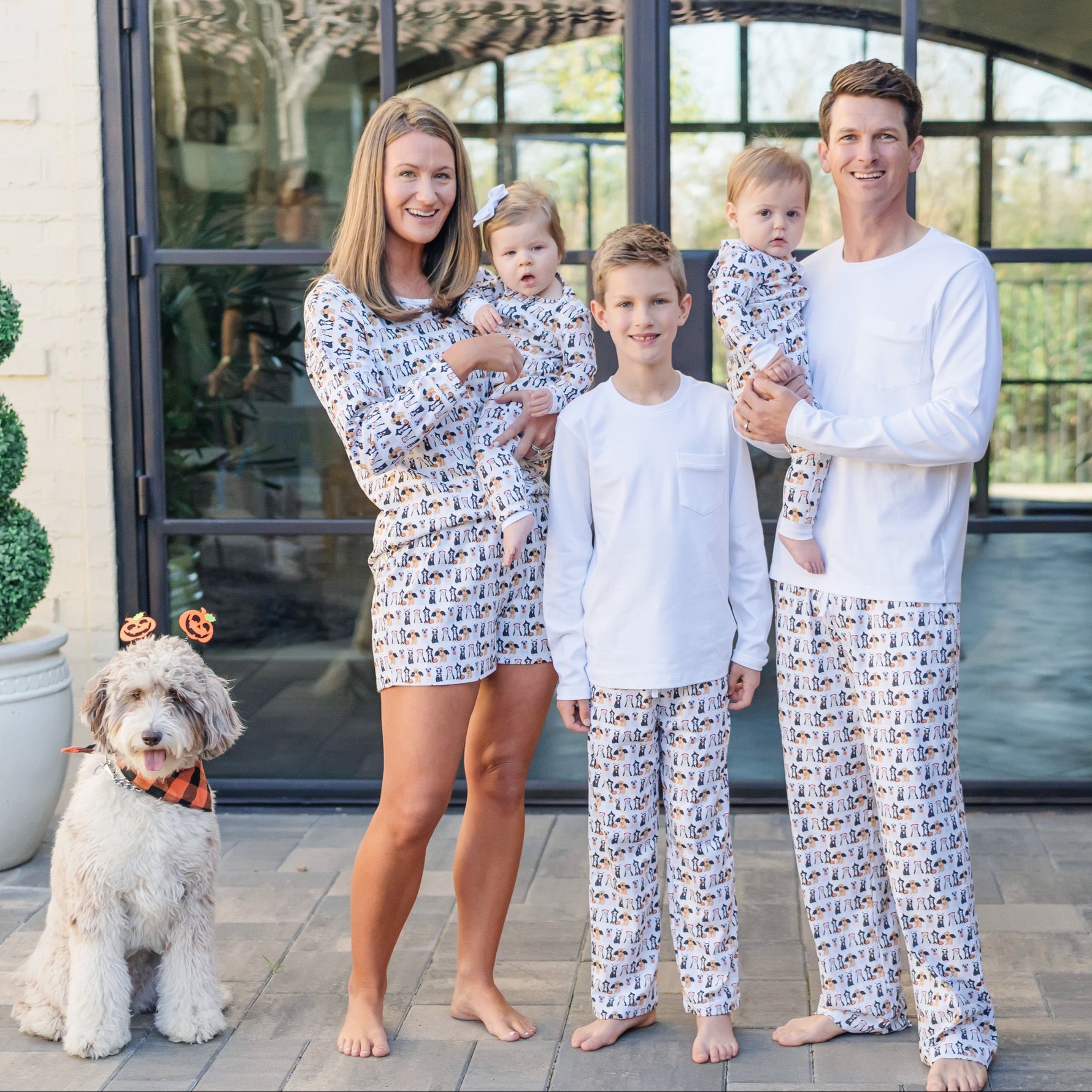 Buy Brent Men's Hangout Pant - Halloween Pups kids clothing online