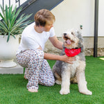 Brent Men's Hangout Pant - Western Pups outfit perfect for everyday wear