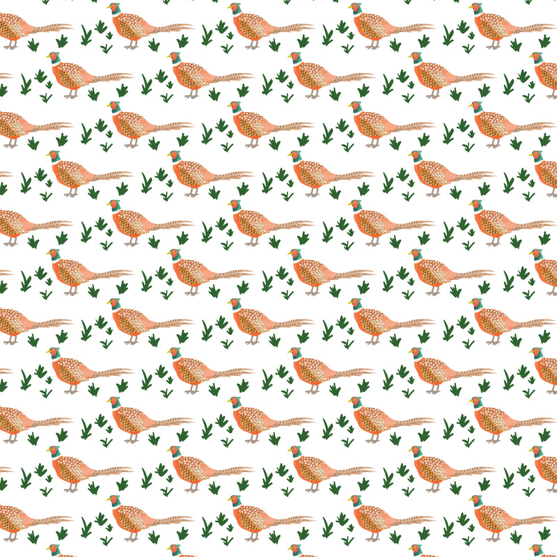 Brent Men's Pima Cotton Hangout Pant - Pheasants