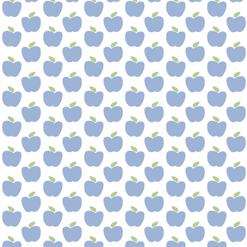 SALE Hudson Boys' Pima Cotton Short Set - Apples Blue