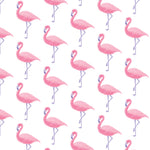 Katie Women's Pima Cotton Nightgown - Fabulous Flamingos stylish kids outfit collection