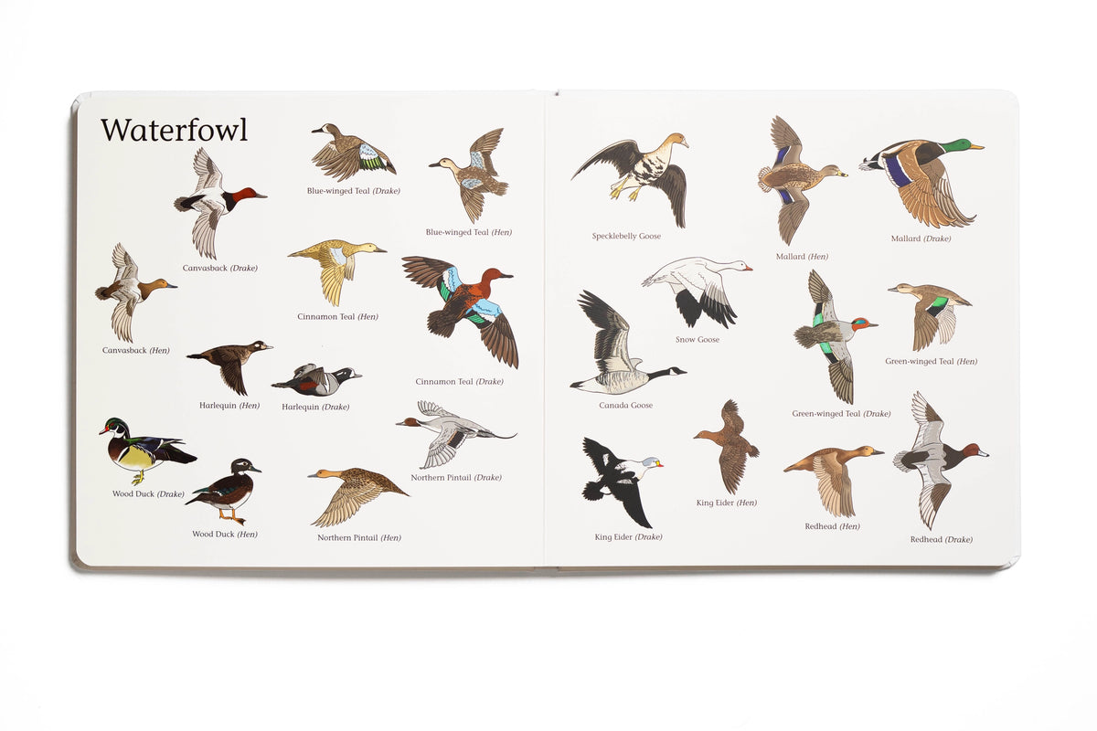 The Big Book of Hunting Children's Book outfit perfect for everyday wear