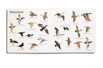 The Big Book of Hunting Children's Book outfit perfect for everyday wear