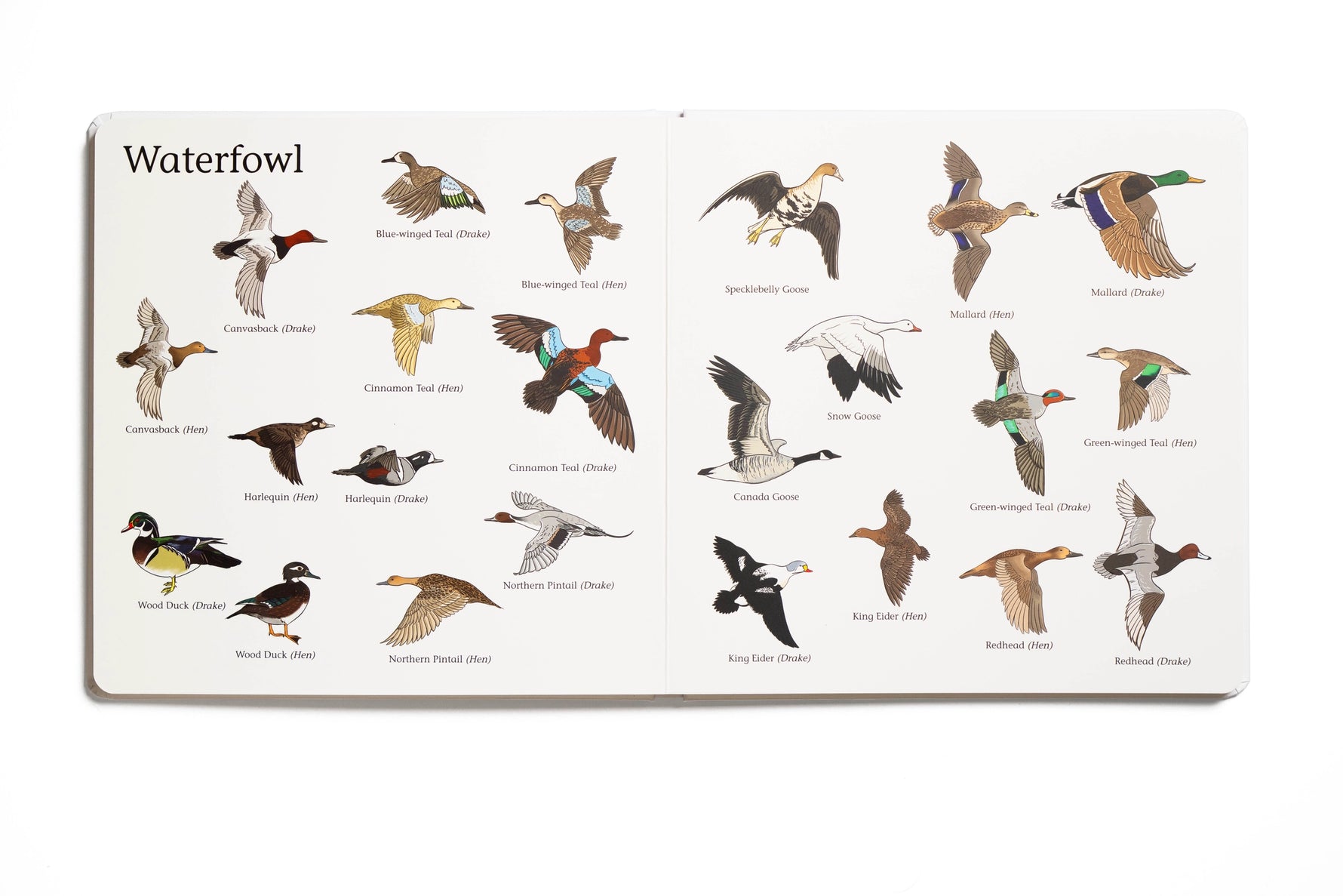 The Big Book of Hunting Children's Book outfit perfect for everyday wear