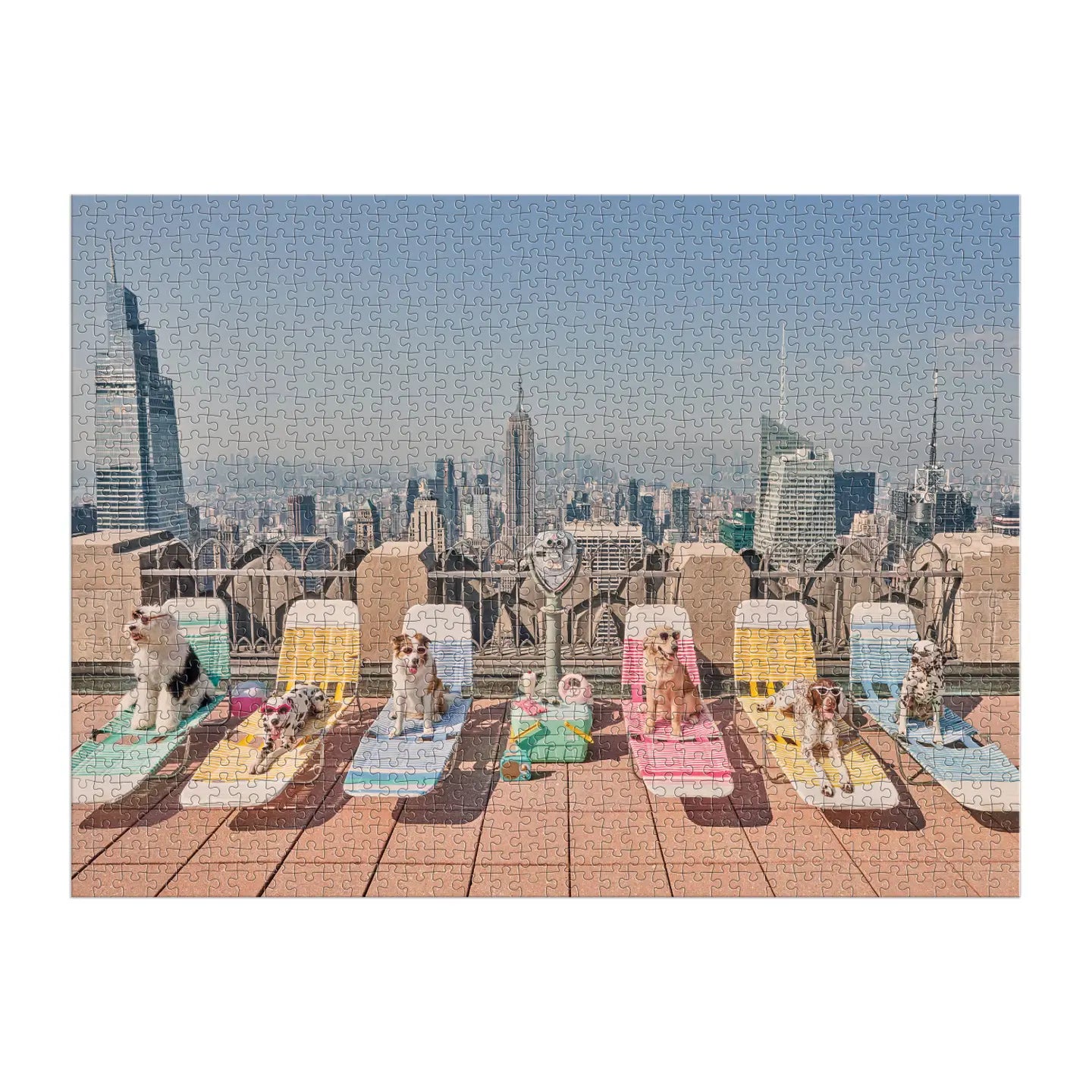 Gray Malin the Dogs of New York City 1000 Piece Puzzle dress for girls premium quality