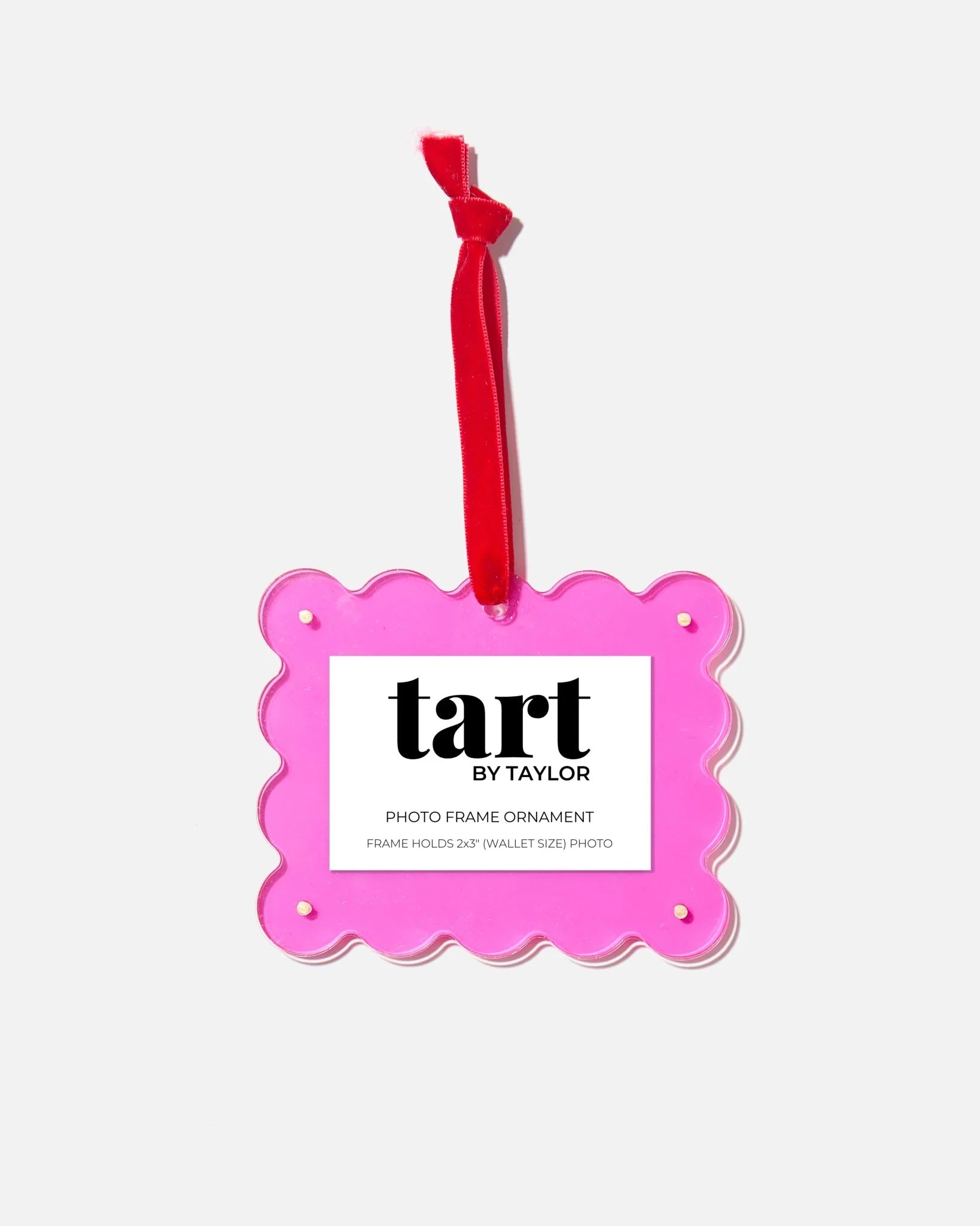 Mini Frame Ornament - Hot Pink