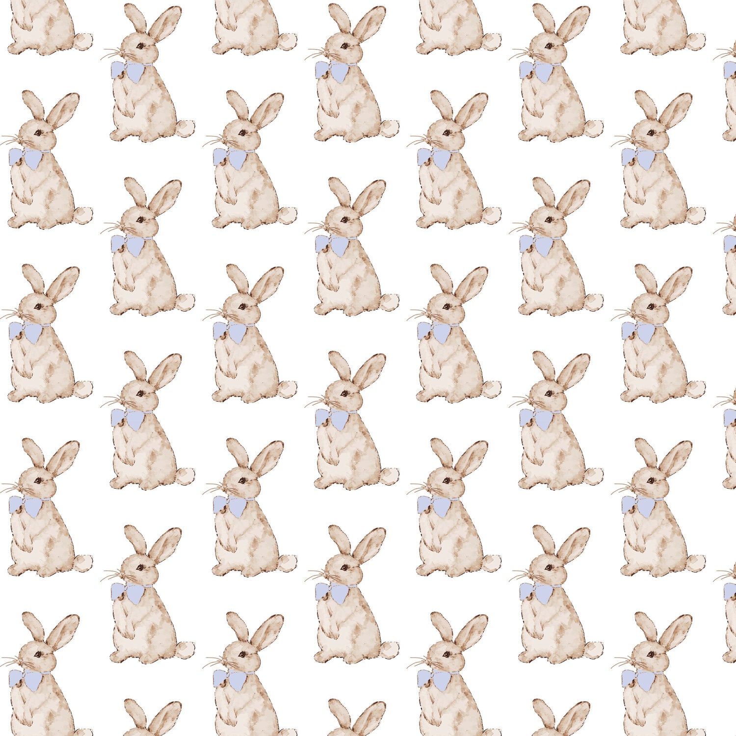 Palmer Boys' Bubble - Easter Bunnies Blue